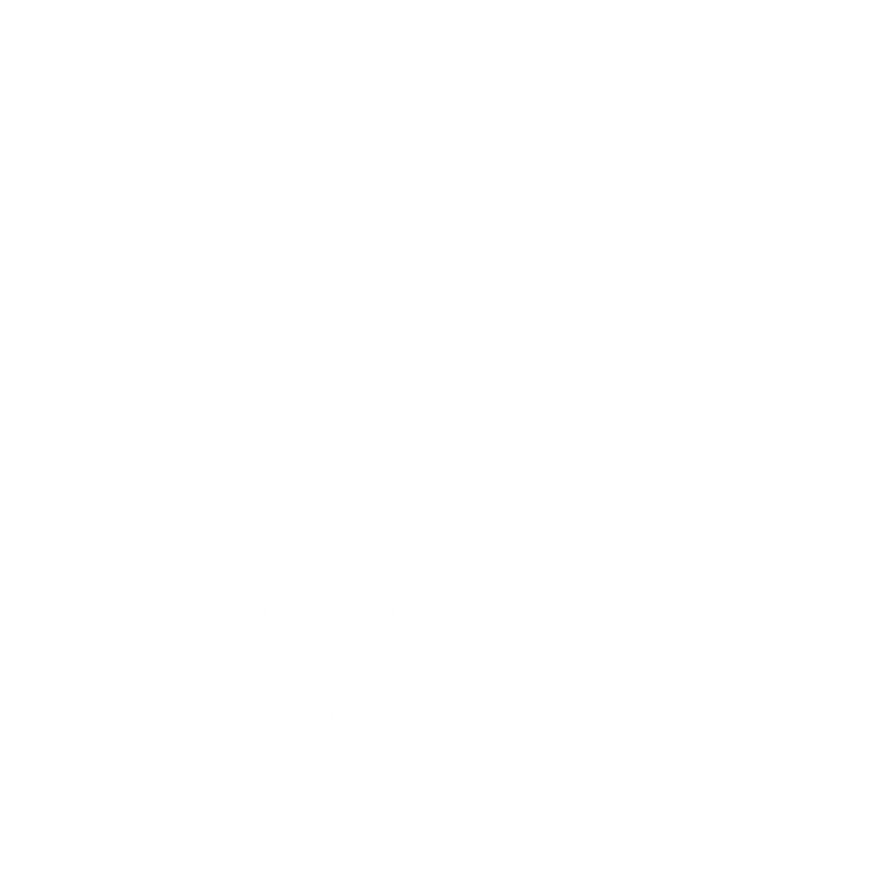 Operational Excellence